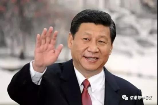 UG环球·(中国区)官方网站